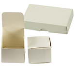Micro-Tec B40 white cardboard box, 100x60x20mm