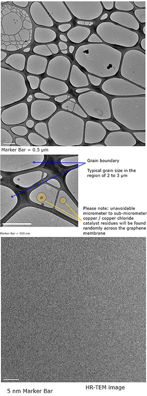 EM-Tec graphene TEM supports on Lacey carbon