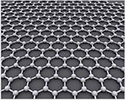 EM-Tec dual layer graphene TEM support film on Lacey carbon on 300 mesh copper grids